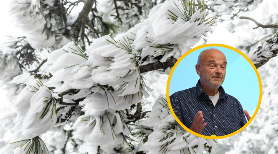 Goričko je te dni še posebej pravljično: meteorolog Branko Gregorčič nam je zaupal, zakaj so prizori navdušili tudi njega (foto: Katja Kušar/Žiga Živulovič jr./Bobo/fotomontaža)