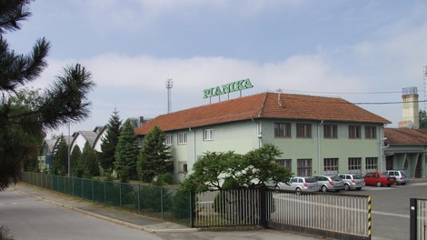 planika