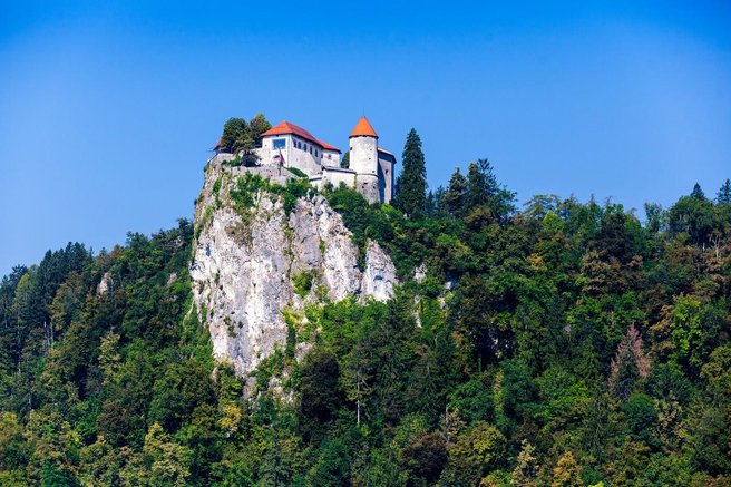 blejski grad