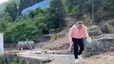 kmetica klic gozd kokoši video