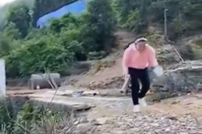 kmetica klic gozd kokoši video
