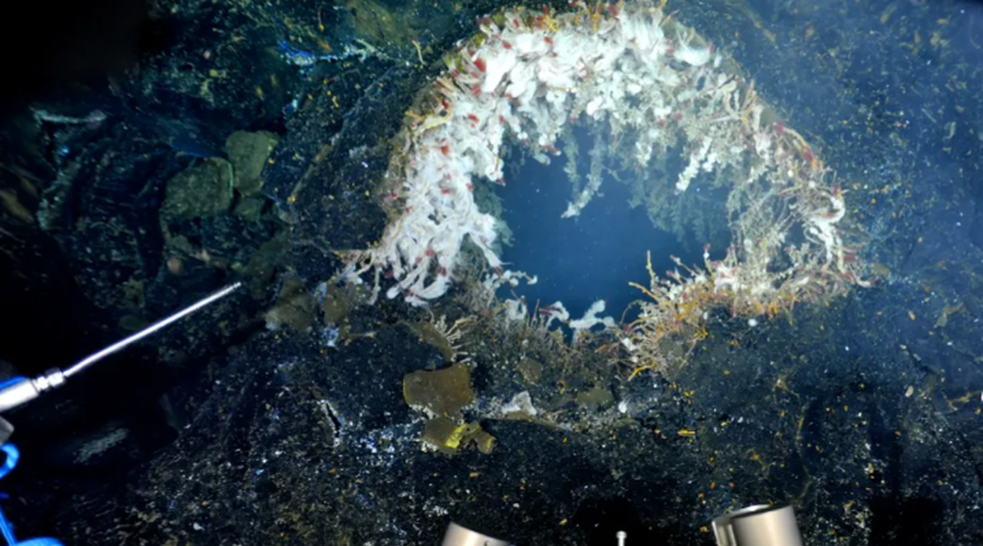 Samo še vprašanje časa je: do konca 2025 bi lahko prišlo do obsežnega izbruha (foto: Schmidt Ocean Institut)