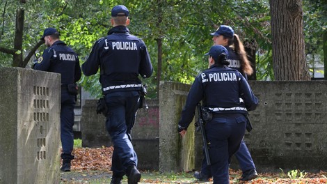 policija