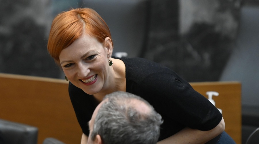 Zakon o medijih skozi prvo sito, a padale so tudi hude kritike (foto: Bobo)