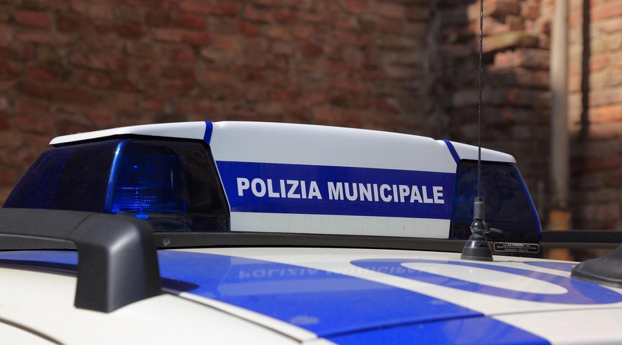 Ljubljanski voznik sledil navigaciji in povzročil pravi kaos v Trstu, lahko bi se končalo tragično (foto: Profimedia)