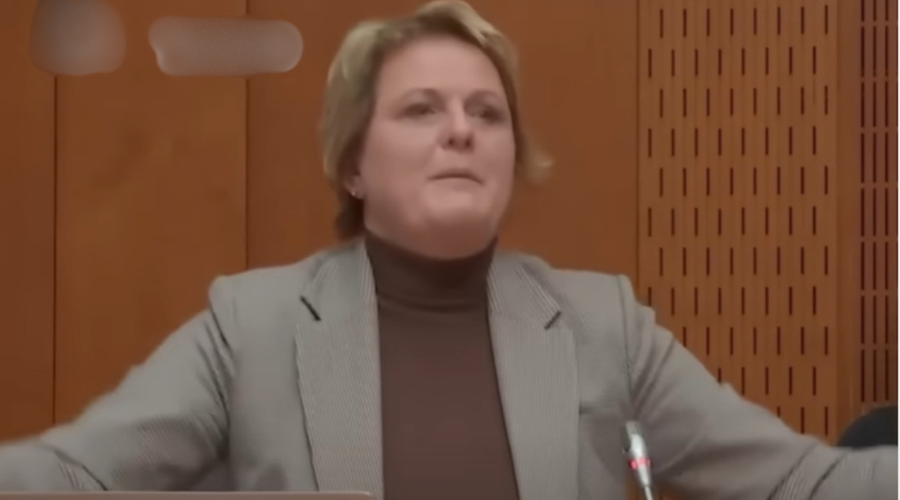 Ravnatelji zahtevajo opravičilo, Jelka Godec se brani: moje besede so iztrgane iz konteksta (foto: YouTube/Slovenc/posnetek zaslona)
