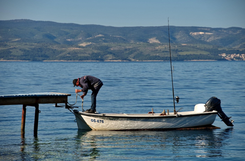 Istra Jadran Morje hrvaške rakovica
