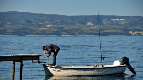 Istra Jadran Morje hrvaške rakovica