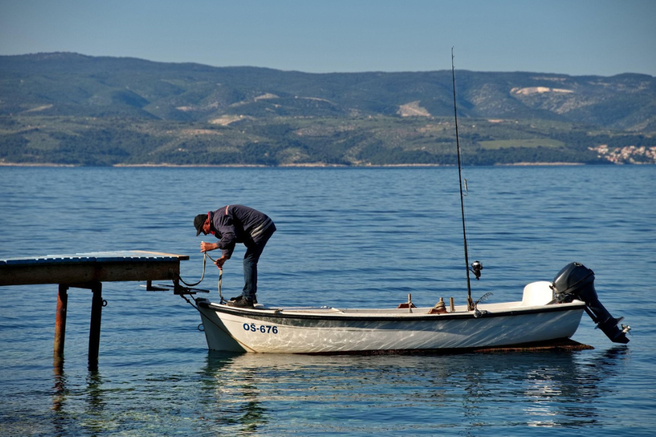 Istra Jadran Morje hrvaške rakovica