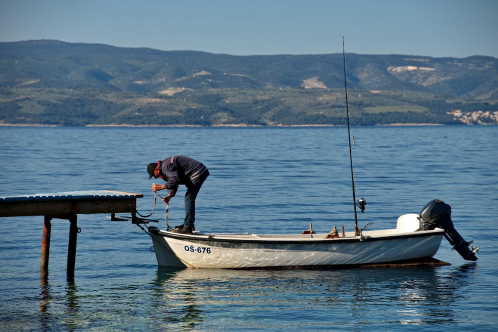 Istra Jadran Morje hrvaške rakovica