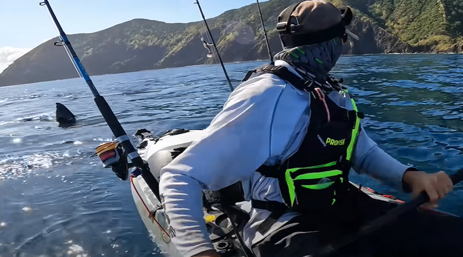 Ko zaledeni kri v žilah: kajakaš zagledal ogromnega morskega psa, ki ga je nato ... (VIDEO) (foto: YouTube/Nomadic Kayak Fishing/posnetek zaslona)