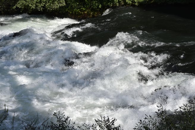 sava