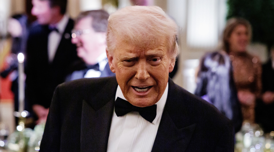 Na rezultate nemških volitev se je odzval tudi Donald Trump: "Velik dan za Nemčijo in Združene države ... " (foto: Profimedia)
