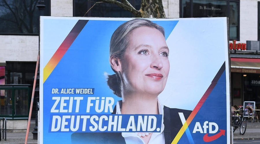Kdo je Alice Weidel, najmočnejša ženska v Nemčiji, ki je desnico popeljala do zgodovinskega političnega vzpona? (foto: profimedia)