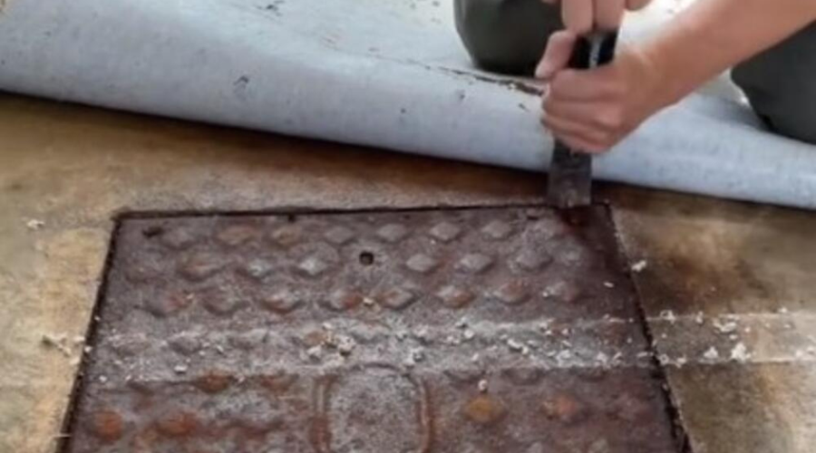 Neznosen smrad jima je več mesecev grenil življenje: ko sta odstranila tepih, sta obnemela (VIDEO) (foto: TikTok/posnetek zaslona)