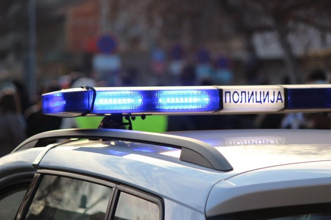 Ukradel 15.000 evrov vredno skulpturo delfina in si jo postavil na svoje dvorišče