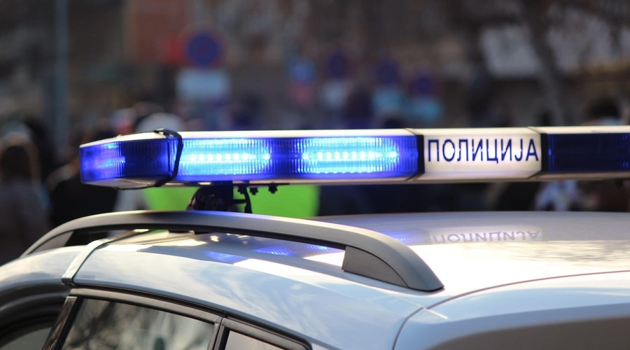 Ukradel 15.000 evrov vredno skulpturo delfina in si jo postavil na svoje dvorišče (foto: profimedia)
