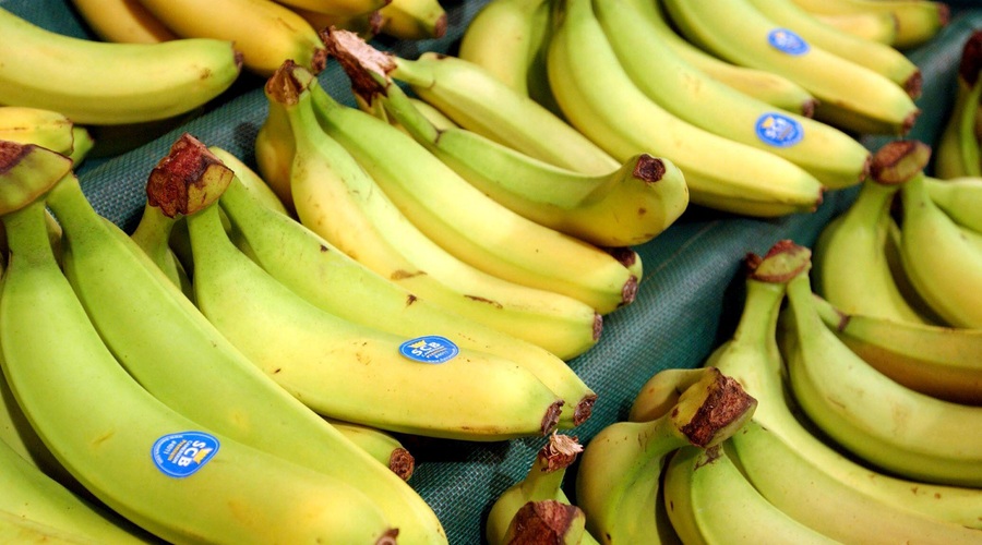 Banane v trgovini (foto: Profimedia)