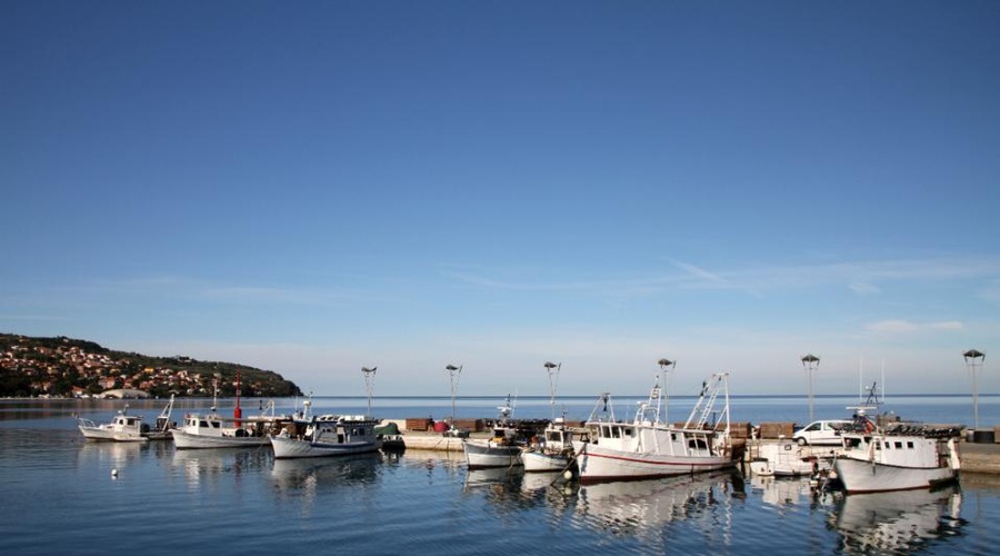 Država bo namenila 320 tisoč evrov za "konkurenčno in energetsko bolj učinkovito floto" (foto: MKGP)