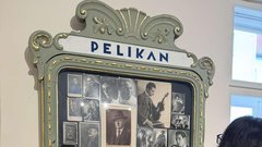 Pelikanova hisa Celje