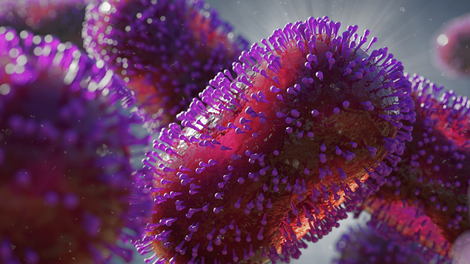 virus