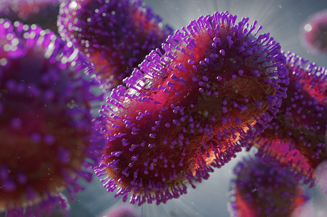virus