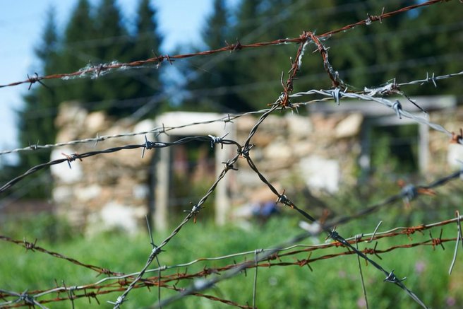 slika muzej umetnost skrivnostno izginotje 1974