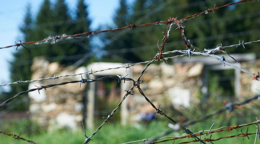 Fotografija je simbolična. (foto: Profimedia)
