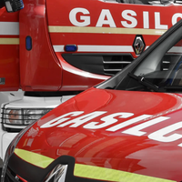 gasilci