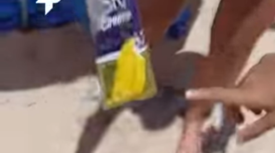 Ženska si je na plaži privoščila sladoled in se skoraj onesvestila: ogabno razkritje šokiralo vse (VIDEO) (foto: YouTube/posnetek zaslona)
