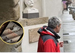 Najslavnejši Šved je ljubil Celjanko. O njunem usodnem razmerju se še zdaj govori