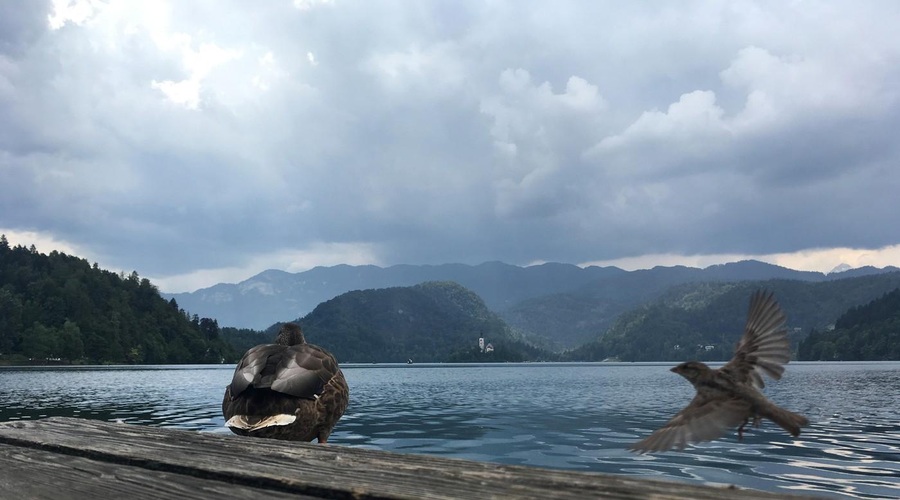 Vremenoslovci z novico, ki ni prav nič optimistična (foto: Profimedia)