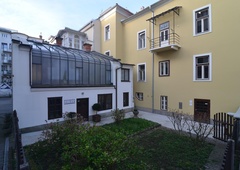 Za zidovi ene najbolj znanih celjskih hiš smo našli pravi biser! (FOTO)