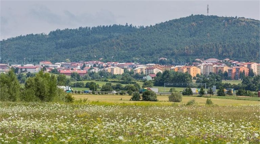 V tem slovenskem mestu bo zaživel prevoz na zahtevo (foto: Profimedia)