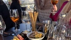 Slobodan Boba Zivojinovic Lepa Brena Vertiz vina predstavitev Hotel Intercontinental