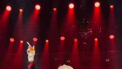 Lepa Brena koncert Stožice
