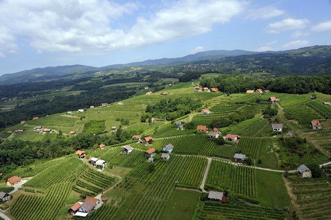zidanica vinograd