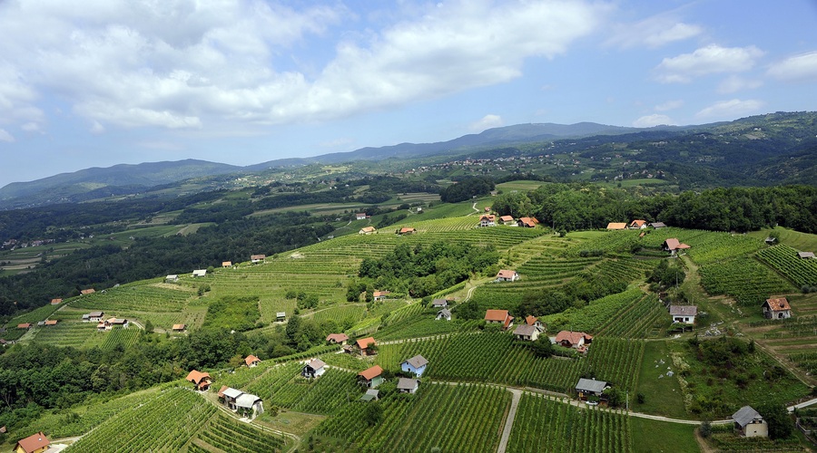 V Sloveniji vse bolj priljubljena ta posebna oblika turizma (le kdo bi si mislil?) (foto: Srdjan Živulovič/Bobo)