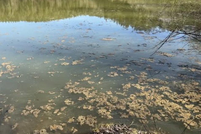 Gradiško jezero bakterija onesnaženje nevarnost