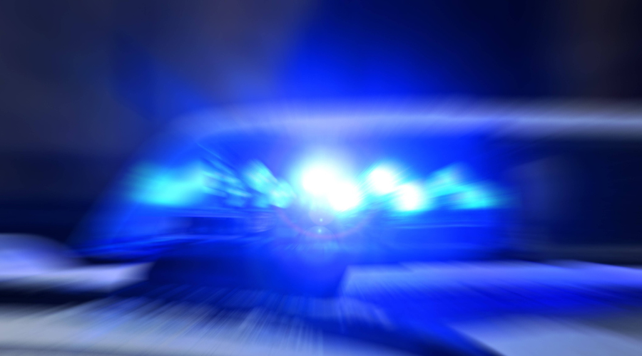 Kranjski policisti osupnili, ko so ustavili neregistriran avtomobil: za volanom je sedel ... (foto: Profimedia)