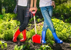 Če na vrtu posadite to rožo, se boste znebili škodljivcev, ki vsakemu vrtičkarju še kako grenijo vsakdan