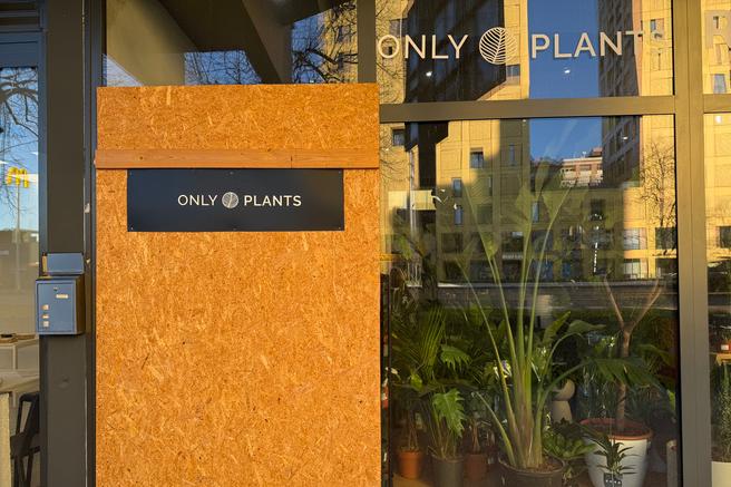 Only Plants sobne rastline trgovina Siska