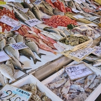 riba skuša zdravje prehrana