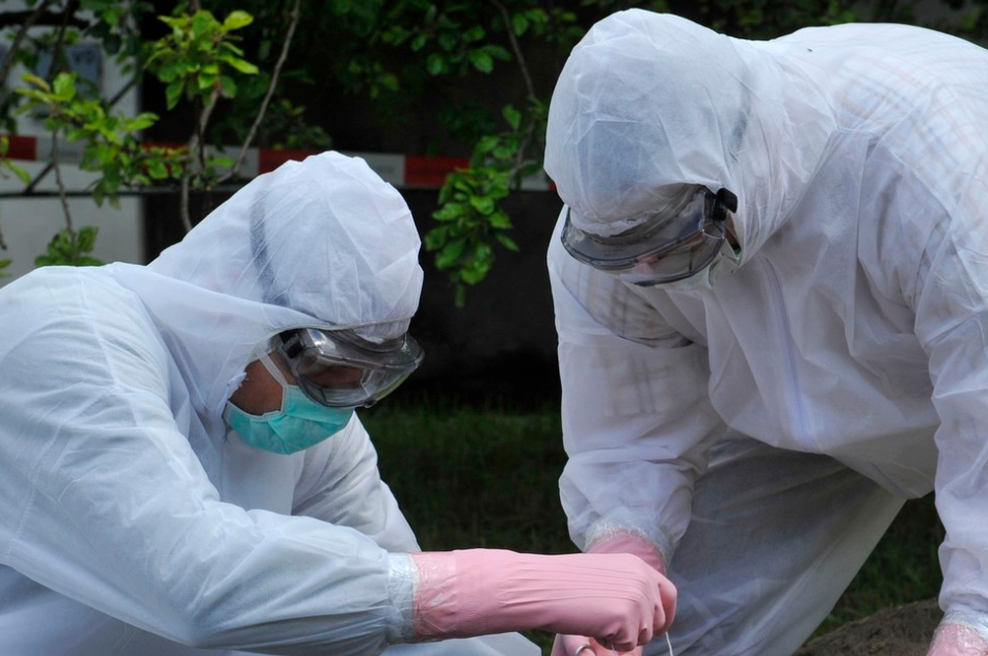 Po Evropi se širi nevarna bolezen: odkrili so jo pri naših sosedih, zdaj pa ... (foto: Profimedia)