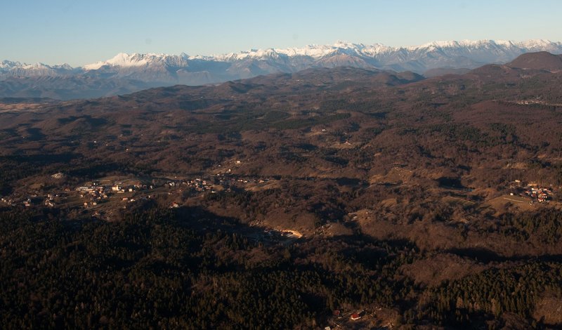 Trnovski gozd