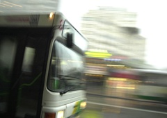 Potniki na liniji LPP doživeli redko videno dramo: na avtobus v Ljubljani padlo drevo (!), nato pa ...