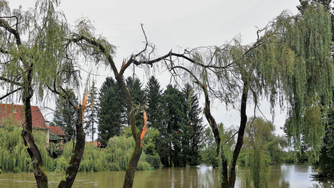 poplave Krka