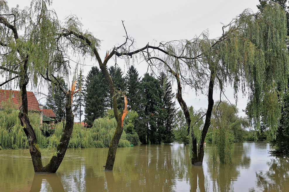 Nekatere reke po državi še vedno naraščajo: Krka in Radeščica se razlivata na običajnih območjih (foto: Goran Rovan/Bobo)