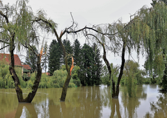 Nekatere reke po državi še vedno naraščajo: Krka in Radeščica se razlivata na običajnih območjih