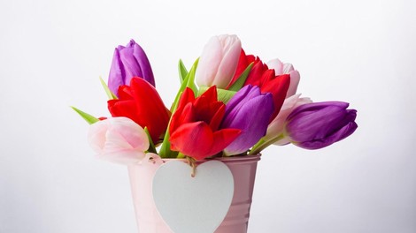 tulipani.jpg